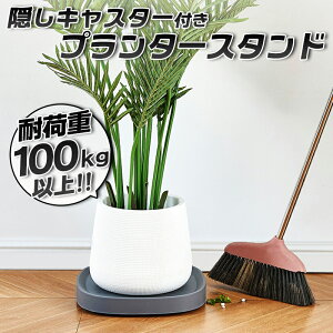 yzBLX^[t v^[X^h a28.5cm  JCC k y   zCg O[ ړ v^[bN A O\ ϗtA  