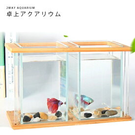 楽天市場 金魚 水槽 おしゃれの通販