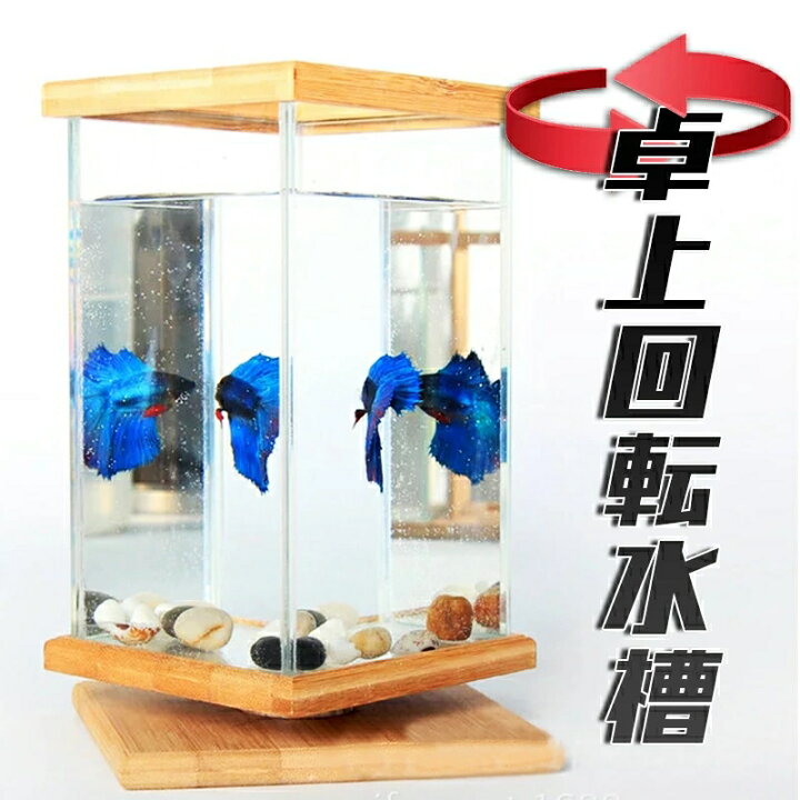 楽天市場 水槽 アクアリウム 金魚鉢 卓上 Aquarium すいそう おしゃれ 小型水族館 かわいい オブジェ ガラス 四角 長方形 金魚 メダカ 熱帯魚 回転可能 デスク コンパクト 天然竹 デスク 飼育 ガラス水槽 アクアテラリウム 中身は付いてきません 別途お買い求め