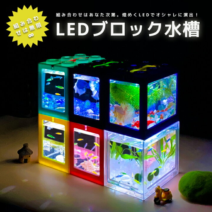 楽天市場 新 送料無料 Ledライト付きブロック水槽セット アクアリウム自由研究 夏休み Led照明 金魚鉢 卓上 Aquarium すいそう おしゃれ かわいい オブジェ ガラス 円柱 丸形 金魚 メダカ 熱帯魚 Benmastore