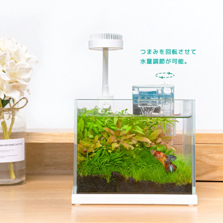 楽天市場 送料無料 天空の城専用 浄水フィルターポンプ Usb電源水槽 アクアリウム 濾過 ろ過 ハイパワー かわいい おしゃれ 北欧 金魚 シュリンプ メダカ 活性炭フィルター 油膜 コンパクトサイズ 人気 クリア ブラック スカイブルー スケルトン Benmastore