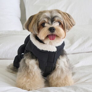 y 25H~ Vi ̔Jn z̕ H~ H ^   xj[Y O[X _EWPbg GRACE PADDING S/M/L/XLy؍ BENNYS {z^ ~ m 킢 g  h 