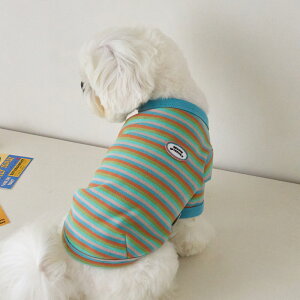 y 25H~ Vi ~ z̕  H~ H ^   xj[Y fXg TVc MODEST T-SHIRT S / M / L / XLy؍ BENNYS {z^ ~ m 킢 g  h ₷