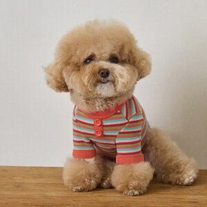 y 25H~ Vi ̔Jn z̕ H~ H ^   xj[Y fXg TVc MODEST T-SHIRT S/M/L/XLy؍ BENNYS {z^ ~ m 킢 g  h ₷ 