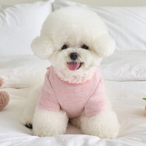 y 25H~ Vi ̔Jn z̕ H~  H ^   xj[Y Nu TVc CRUMBLE T-SHIRT S/M/L/XLy؍ BENNYS {z^ ~ m 킢 g  h 