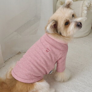 y 25H~ Vi ~ z̕  H~ H ^   xj[Y Q TVc MERINGUE T-SHIRT S / M / L / XLy؍ BENNYS {z^ ~ m 킢 g  h 