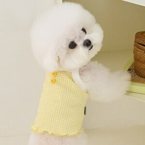 y11/20 20:00~P10{z ĕ ^ ̕ ^Ngbv ĕ  ybg ^  xj[Y XvO Nbv gbv BENNYS SPRING CROP TOP S / M / L / XLy؍ BENNYS {z t 킢