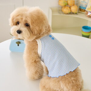 y11/4 20:00~P10{z ĕ ^ ̕ ^Ngbv ĕ  ybg ^  xj[Y XvO Nbv gbv BENNYS SPRING CROP TOP S/M/L/XLy؍ BENNYS {z t 킢 t