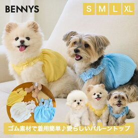 【7/11 1:59までP10倍】【2025年春夏★新着！】犬の服 夏服 犬 ペット服 小型犬 服 ベニーズ プリン バルーン トップ BENNYS PUDDING BALLOON TOP S/M/L/XL【韓国 BENNYS 日本公式】犬服 春 かわいい 犬春服 犬服春物 犬服 春夏 男の子 女の子