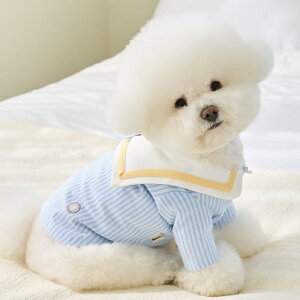 y11/20 20:00~P10{z ĕ ^ ݕt ̕ ĕ  ybg ^  xj[Y [h Nbv Vc BENNYS MOOD CROP SHIRT S / M / L / XLy؍ BENNYS {z t 킢 t 