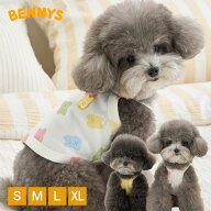 【8/15限定 ポイント5倍】【 26春夏 新作 】小型犬 春服 夏服 BENNYS ベニーズPARTY CROP TOP パーティー…