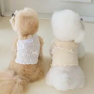 【 26春夏 新作 】小型犬 春服 夏服 BENNYS ベニーズ RIBBONADE CROP T-SHIRT リボネード クロップ Tシャ…