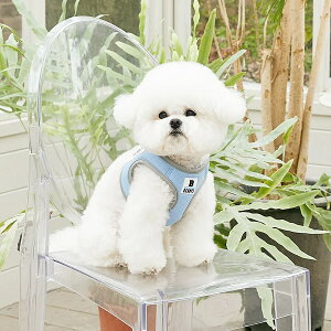 y11/20 20:00~P10{zn[lX ^ C ꂵȂ x[VbN n[lX S / M / L / XLy؍ BENNYS {z ȒP  n[lX SȂ 킢 Ȃ s⏕  