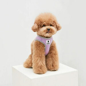 n[lX ^ C ꂵȂ x[VbN n[lX S/M/L/XLy؍ BENNYS {z ȒP  n[lX SȂ 킢 Ȃ s⏕   Ȃ n[lX 