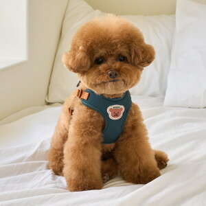 y11/15|Cg5{zn[lX ^  ^b`n[lX S/M/L/XLy؍ BENNYS {zȒP  n[lX SȂ 킢 Ȃ s⏕   Ȃ n[