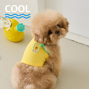 y11/4 20:00~P10{z̕  ĕ fBYj[ N[ Nbvgbv S/M/L/XLy؍ BENNYS {z  ėp ^ UObY  ₷  킢 pi    