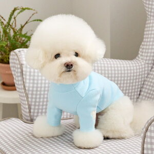 y11/4 20:00~P10{z̕ t   ^  ~   Ci[ T TVc TENDER HALF NECK T-SHIRT S/M/L/XLy؍ BENNYS {z^ ~ m 킢 g  h hbOEF