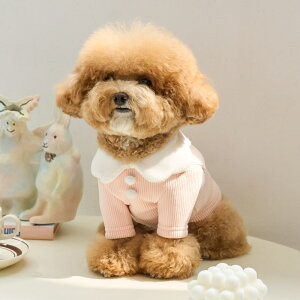 y11/4 20:00~P10{z̕ t  ݕt ^  ~  T Nbv TVc MILK FOAM CROP T-SHIRT S/M/L/XLy؍ BENNYS {z^ ~ m 킢 g  h ₷