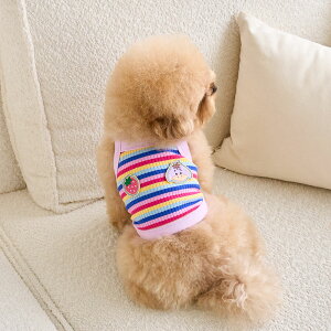 y12/4 20:00~50%OFF&P10{z̕  ĕ t fBYj[ byNbvgbv S / M / L / XLy؍ BENNYS {z  ėp ^ UObY  ₷  킢 pi