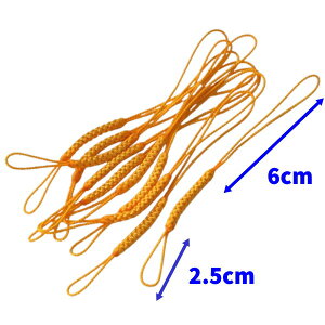 gݕR Xgbv̂Ђ 㕔6cm S12cm  tR gR 10{Zbg R