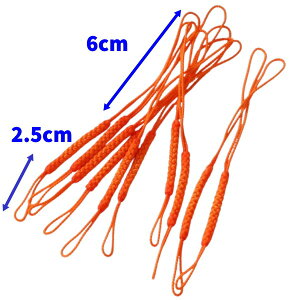 y|Cg2{zgݕR Xgbv̂Ђ 㕔6cm S12cm  tR gR 10{Zbg IW