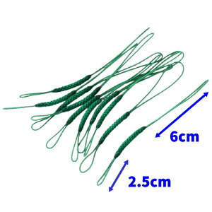 gݕR Xgbv̂Ђ 㕔6cm S12cm  tR gR 10{Zbg 