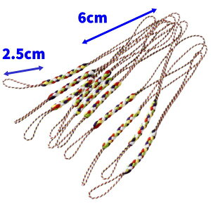 gݕR Xgbv̂Ђ 㕔6cm S12cm  tR gR 10{Zbg 5F