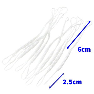 gݕR Xgbv̂Ђ 㕔6cm S12cm  tR gR 10{Zbg 