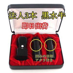 yN[|sz @l Ly[ z @lӃZbg Аݗ RpNgZbg 3{    s ۈ  18mm 16.5mm p 21mm nCU[ 3{[ ӃP[X 