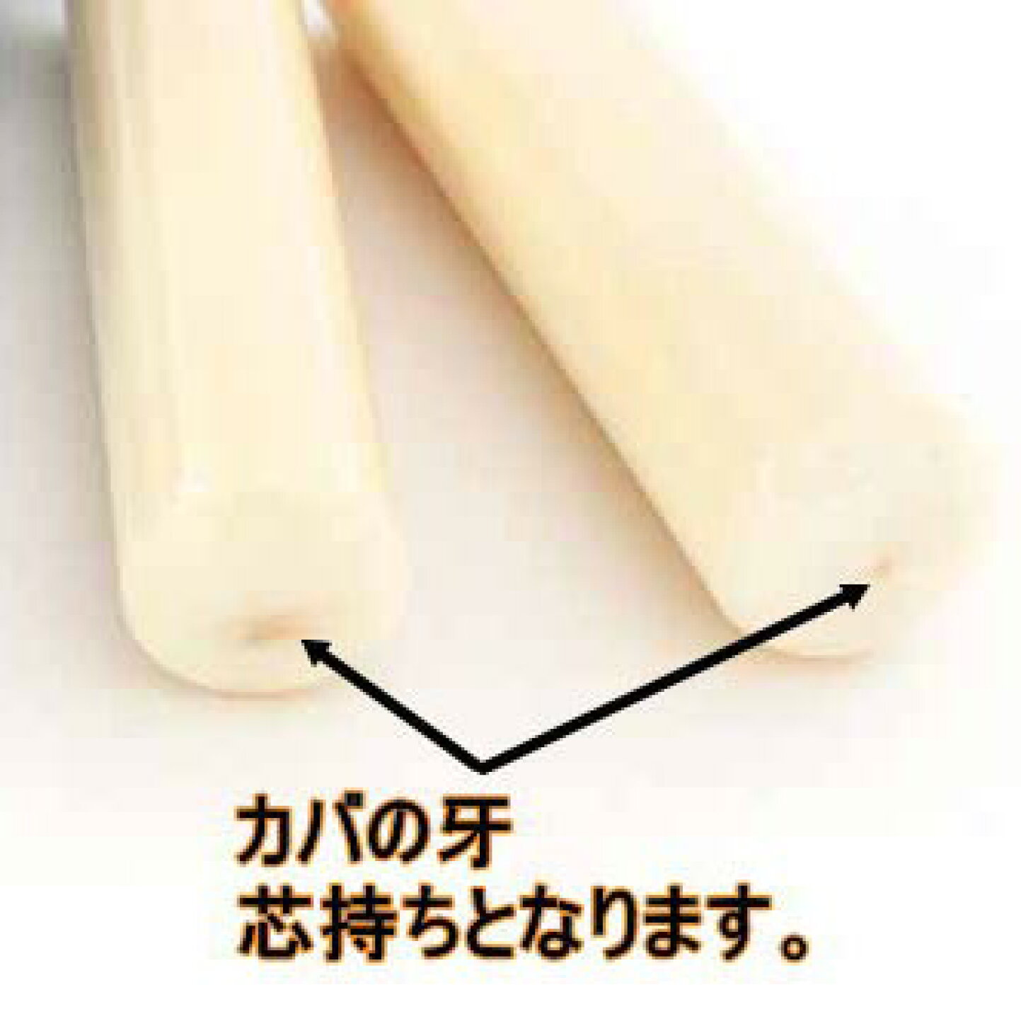 楽天市場 | 便利工房なかやま - 最強印鑑カバ 河馬牙