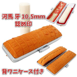  F ͔n Jo  10.5mm P[XtZbg ӃP[X t jv cwj tEЂt dl { nRP[X Ђ炪 J^Ji [} p Ol 