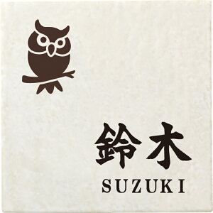 ˌ \D ^C TC ^C^Cv Z~bN^C NFT-22(2F) ӂ낤 FV [}F F/fUCFRQ 150×150×7mm 350g
