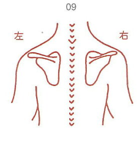y̓ ʃN[|zl̐} X^v S 09  ϔP[Xt × Je gpɂ̓X^v䂪KvłB