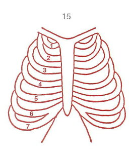 y̓ ʃN[|zl̐} X^v S 15 ] ϔP[Xt × Je gpɂ̓X^v䂪KvłB
