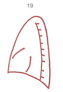 y̓ ʃN[|zl̐} X^v S 19 ʍ ϔP[Xt × Je gpɂ̓X^v䂪KvłB