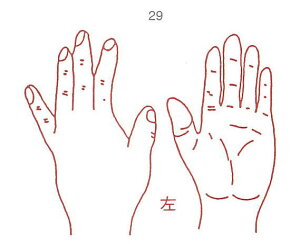 y̓ ʃN[|zl̐} X^v S 29  ϔP[Xt × Je gpɂ̓X^v䂪KvłB