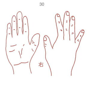 y̓ ʃN[|zl̐} X^v S 30 E ϔP[Xt × Je gpɂ̓X^v䂪KvłB