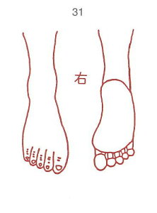 y̓ ʃN[|zl̐} X^v S 31 E ϔP[Xt × Je gpɂ̓X^v䂪KvłB