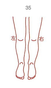 y̓ ʃN[|zl̐} X^v S 35   ϔP[Xt × Je gpɂ̓X^v䂪KvłB