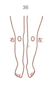 y̓ ʃN[|zl̐} X^v S 36  O ϔP[Xt × Je gpɂ̓X^v䂪KvłB