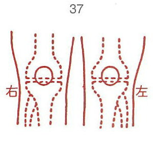 y̓ ʃN[|zl̐} X^v S 37 G O ϔP[Xt × Je gpɂ̓X^v䂪KvłB