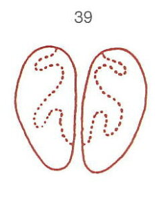 y̓ ʃN[|zl̐} X^v S 39 @o ϔP[Xt × Je gpɂ̓X^v䂪KvłB