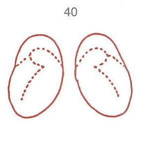 y̓ ʃN[|zl̐} X^v S 40  ϔP[Xt × Je gpɂ̓X^v䂪KvłB