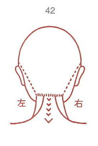 y̓ ʃN[|zl̐} X^v S 42   w ϔP[Xt × Je gpɂ̓X^v䂪KvłB