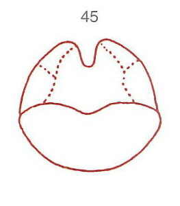 y̓ ʃN[|zl̐} X^v S 45 A  ϔP[Xt × Je gpɂ̓X^v䂪KvłB