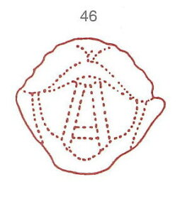 y̓ ʃN[|zl̐} X^v S 46 A   ϔP[Xt × Je gpɂ̓X^v䂪KvłB