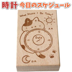 y|Cg2{zXPW[ X^v S 7.5x5x2.5cm 킢lRvfUC 24ԃvi[ ̌vE\\ 蒠EL𑕏 ؐo[X^v