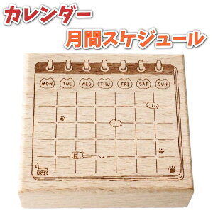 y|Cg2{zX^v  XPW[ J_[ S 6.5x6x2.5cm 킢lRfUC XPW[E\\ 蒠EL𑕏 ؐo[X^v