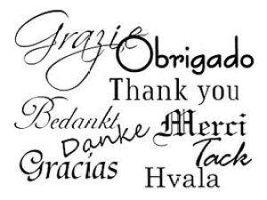 y̓ ʃN[|zyS bZ[W X^vz RMTCY SFM-RM03 gpɂ̓X^v䂪KvłBX^vy܉iz