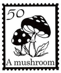 yN[|zzzyS ؎  X^vz RSTCY SFM-RS06 ۂ̐؎ƂĂ͂gɂȂ܂B gpɂ̓X^v䂪KvłBX^vy܉iz